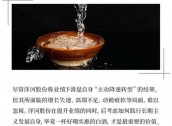 丢掉“白酒老三”，洋河股份彻底输了？