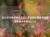 怎么学会看彩票走势怎么学会看彩票走势特朗普版宣布胜选2024.11.08