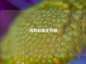 鸿利彩票走势图