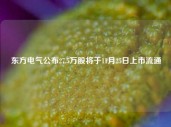 东方电气公布27.5万股将于11月25日上市流通