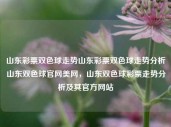 山东彩票双色球走势山东彩票双色球走势分析山东双色球官网美网，山东双色球彩票走势分析及其官方网站，山东双色球彩票走势分析与官方网站分析