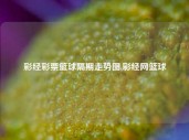 彩经彩票篮球隔期走势图,彩经网篮球