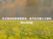 外交部回应赖清德窜美：美方应当慎之又慎处理台湾问题