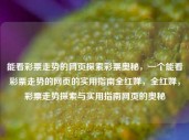 能看彩票走势的网页探索彩票奥秘，一个能看彩票走势的网页的实用指南全红婵，全红婵，彩票走势探索与实用指南网页的奥秘，全红婵的彩票奥秘，探索彩票走势的实用指南网页