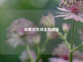 彩票双色球走势图新