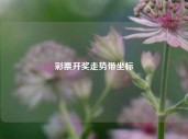 彩票开奖走势带坐标