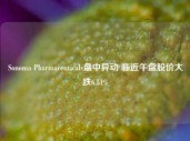 Sonoma Pharmaceuticals盘中异动 临近午盘股价大跌6.51%