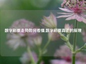 数字彩票走势如何看懂,数字彩票真正的原理