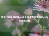 黑龙江省福利彩票p62走势图,黑龙江省福彩p62走势图带连线