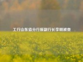 工行山东省分行原副行长李明被查