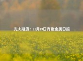 光大期货：11月19日有色金属日报