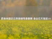 跻身央国企云市场领导者象限 金山云大涨近12%