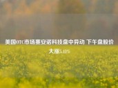 美国OTC市场赛安诺科技盘中异动 下午盘股价大涨5.41%