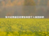 东兴证券副总经理张军因个人原因辞职