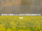 欧洲央行管委Makhlouf支持以审慎和谨慎的方式降息