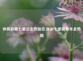 体育彩票七星公走势图告,体彩七星彩基本走势图