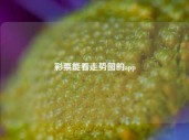 彩票能看走势图的app