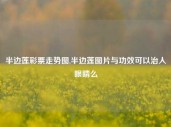 半边莲彩票走势图,半边莲图片与功效可以治人眼睛么