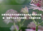 彩票号码走势方向解析彩票号码走势方向石班瑜，彩票号码走势方向解析，石班瑜的见解，彩票号码走势方向解析，石班瑜的独特见解