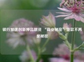 银行加速创新押品融资 “商业秘密”贷款不再是秘密