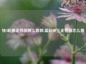 快3彩票走势图则么看啊,福彩快三走势图怎么看