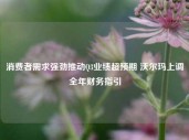 消费者需求强劲推动Q3业绩超预期 沃尔玛上调全年财务指引