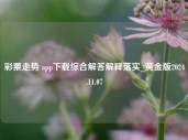 彩票走势 app下载综合解答解释落实_黄金版2024.11.07