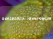 信创概念股震荡反弹，中国长城午后触及涨停