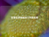 彩票走势图福彩3d开奖结果