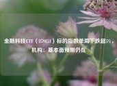 金融科技ETF（159851）标的指数单周下跌超5%，机构：基本面预期仍在