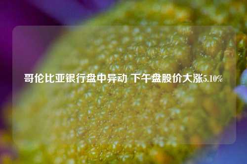 哥伦比亚银行盘中异动 下午盘股价大涨5.10%