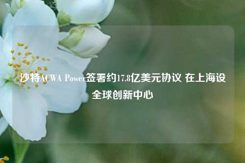 沙特ACWA Power签署约17.8亿美元协议 在上海设全球创新中心