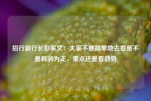 招行副行长彭家文：大家不要简单地去看是不是利润为正，重点还是看趋势