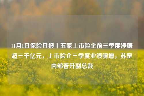 11月1日保险日报丨五家上市险企前三季度净赚超三千亿元，上市险企三季度业绩骤增，苏罡内部晋升副总裁