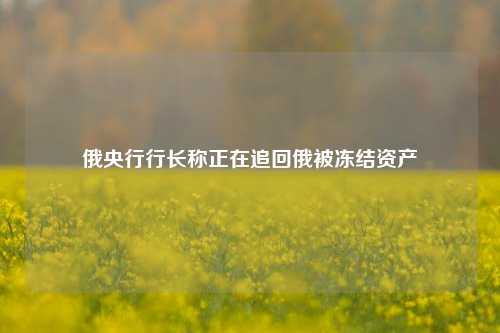 俄央行行长称正在追回俄被冻结资产