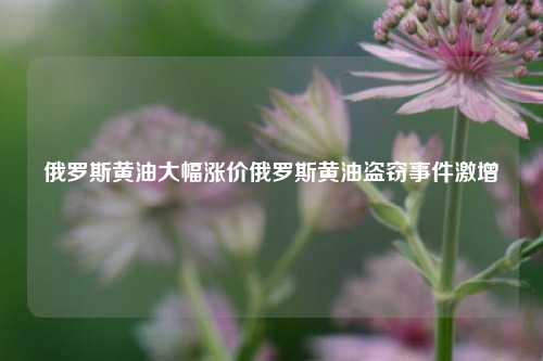 俄罗斯黄油大幅涨价俄罗斯黄油盗窃事件激增