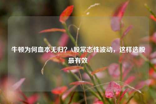 牛顿为何血本无归？A股常态性波动，这样选股最有效