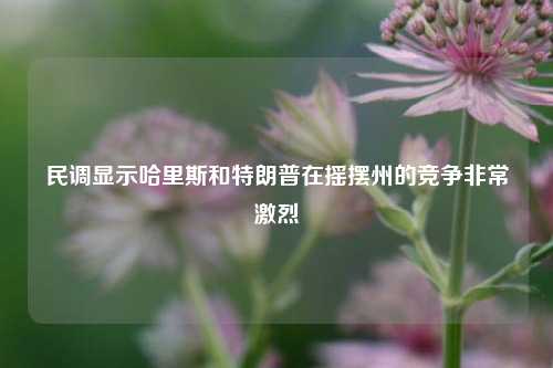 民调显示哈里斯和特朗普在摇摆州的竞争非常激烈