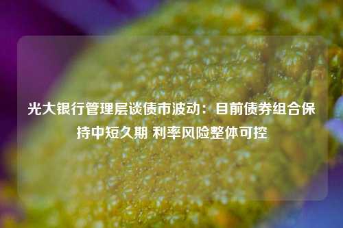 光大银行管理层谈债市波动：目前债券组合保持中短久期 利率风险整体可控