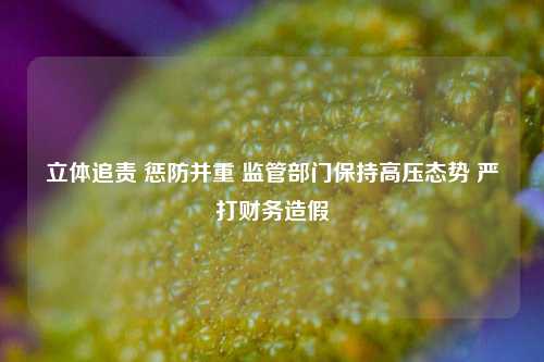 立体追责 惩防并重 监管部门保持高压态势 严打财务造假