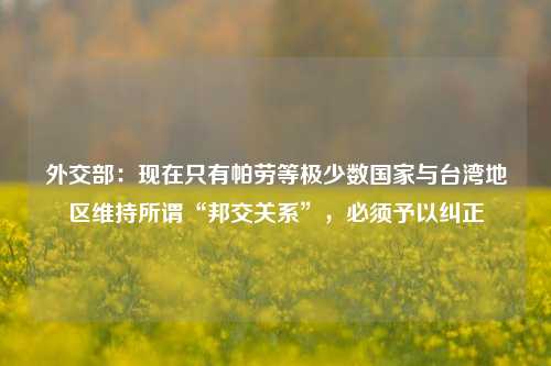 外交部：现在只有帕劳等极少数国家与台湾地区维持所谓“邦交关系”，必须予以纠正