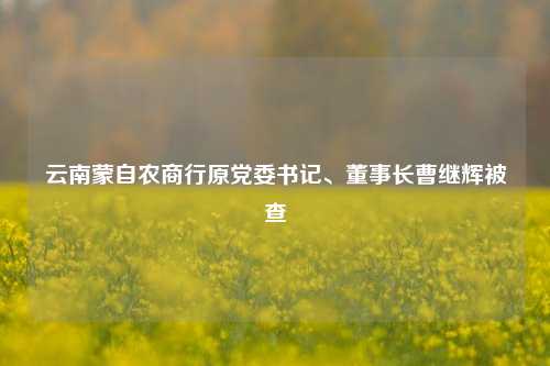 云南蒙自农商行原党委书记、董事长曹继辉被查