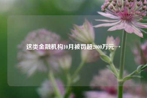 这类金融机构10月被罚超2000万元→