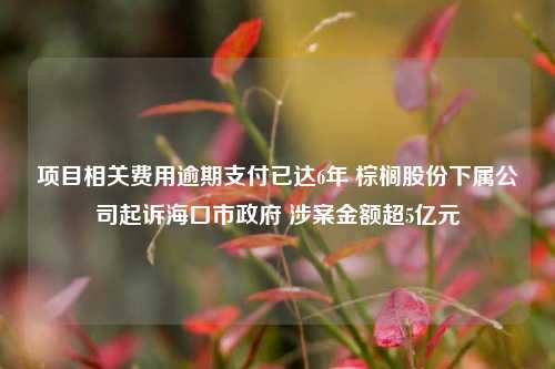 项目相关费用逾期支付已达6年 棕榈股份下属公司起诉海口市政府 涉案金额超5亿元