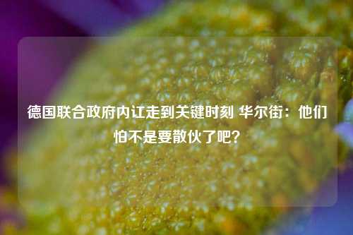 德国联合政府内讧走到关键时刻 华尔街：他们怕不是要散伙了吧？