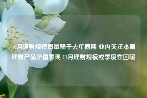 10月理财规模增量弱于去年同期 业内关注本周理财产品净值表现 11月理财规模或季度性回暖