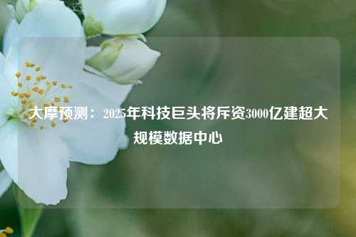 大摩预测：2025年科技巨头将斥资3000亿建超大规模数据中心