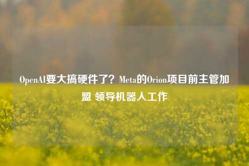 OpenAI要大搞硬件了？Meta的Orion项目前主管加盟 领导机器人工作