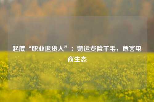 起底“职业退货人”：薅运费险羊毛，危害电商生态