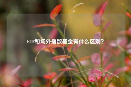 ETF和场外指数基金有什么区别？